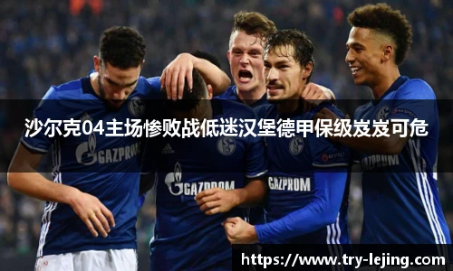 沙尔克04主场惨败战低迷汉堡德甲保级岌岌可危